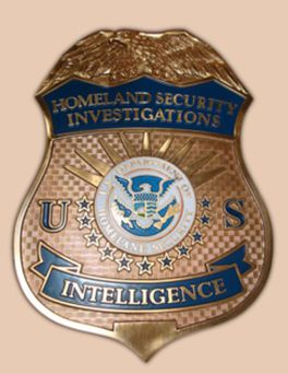 DHS_HSI Intelligenc Badge with fog